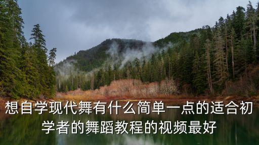 学舞蹈有什么舞蹈视频教学方法，有什么简单易学的舞蹈教学视频