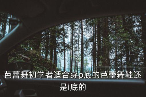 芭蕾初学者 买什么鞋 足尖，请大家帮我选一双合适的芭蕾足尖鞋