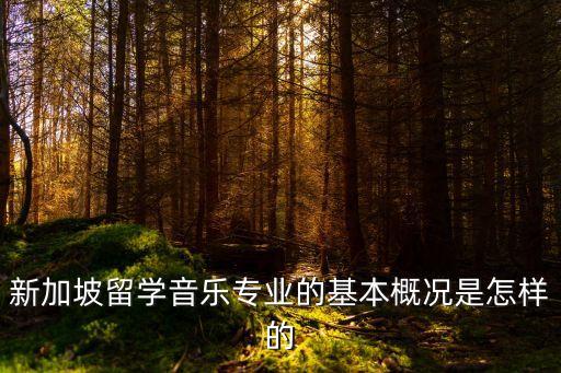 新加坡留学音乐专业的基本概况是怎样的