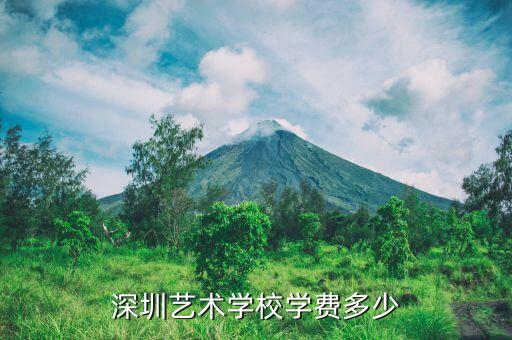 深圳艺术学校学费多少