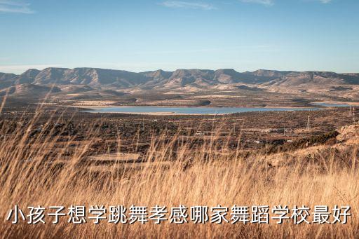 孝义幼儿学跳舞哪里好，哪有小孩学跳舞的地方