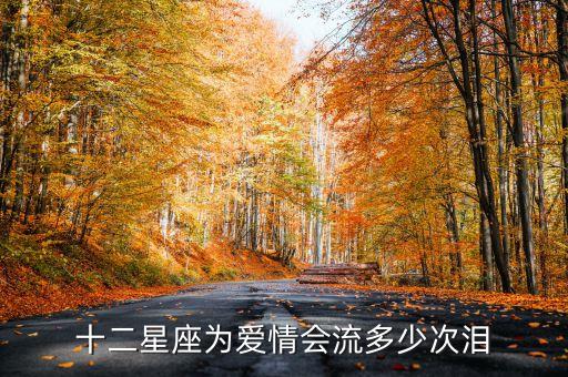 十二星座为爱情会流多少次泪