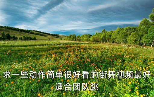 求一些动作简单很好看的街舞视频最好适合团队跳