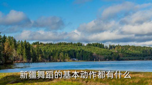 新疆舞蹈的基本动作都有什么