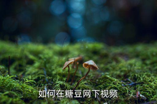 糖豆网什么下载视频下载，糖豆的视频怎么下载
