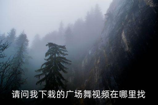 请问我下栽的广场舞视频在哪里找