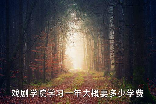 深圳舞蹈戏剧学院学费是多少，戏剧学院学习一年大概要多少学费