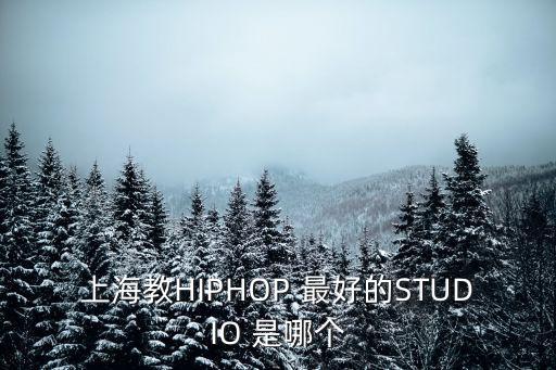 上海有哪些hiphop舞社，麻烦各位告诉下上海哪有专业的breaking街舞团体或舞房 谢谢 麻烦附