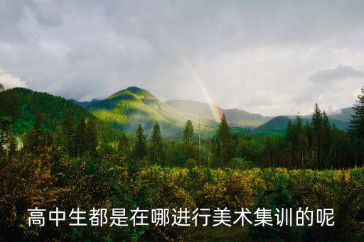 高中生都是在哪进行美术集训的呢