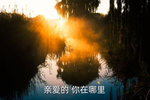 亲爱的你在哪里广场舞视频下载，亲爱的 你在哪里