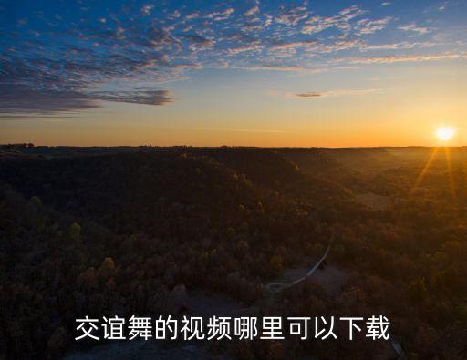 99广场舞 网址是多少，交谊舞的视频哪里可以下载