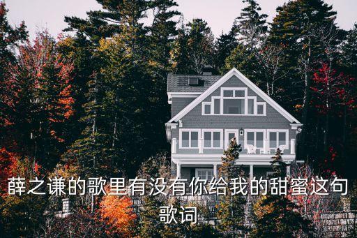 薛之谦的歌里有没有你给我的甜蜜这句歌词