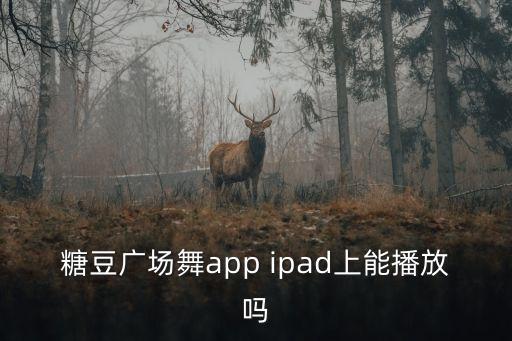糖豆广场舞app ipad上能播放吗