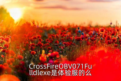 CrossFireOBV071Fulldlexe是体验服的么