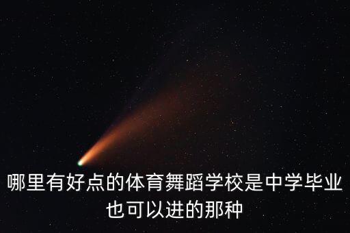 初中毕业有什么好的舞蹈艺术学院，有没有什么好的舞蹈职业学校初中毕业不看成绩可以去的求推荐急