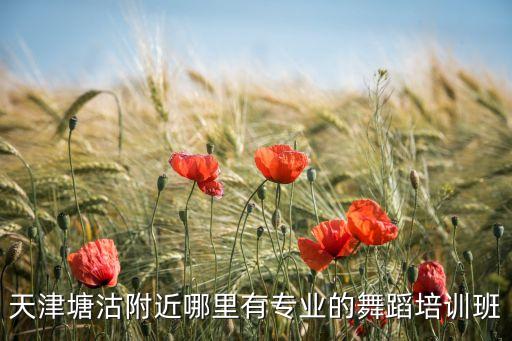 莲塘哪里的舞蹈班好，深圳莲塘哪有较专业的少儿舞蹈培训班
