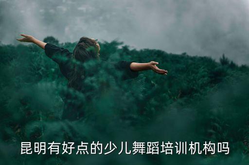 昆明有好点的少儿舞蹈培训机构吗