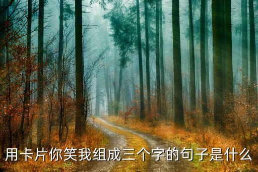 用卡片你笑我组成三个字的句子是什么