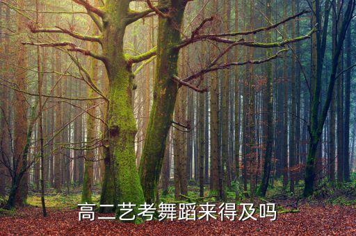 高二艺考舞蹈来得及吗