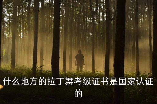 拉丁舞证书都有哪些，拉丁舞证书是什么样子的需要图片谢谢