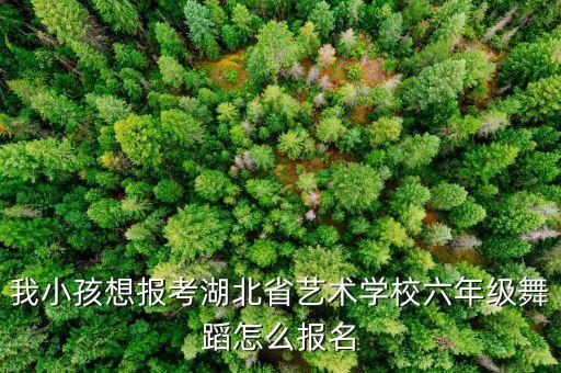 考舞蹈学校在什么时候报名费，2010年艺考舞蹈类什么时候报名