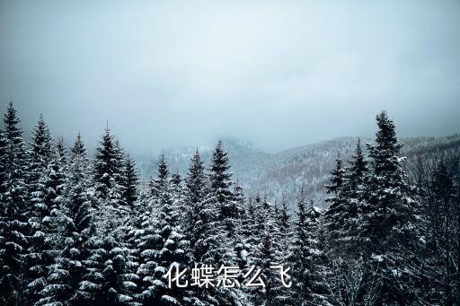 化蝶怎么飞