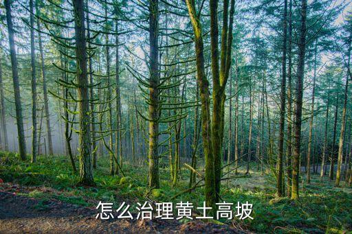 怎么治理黄土高坡