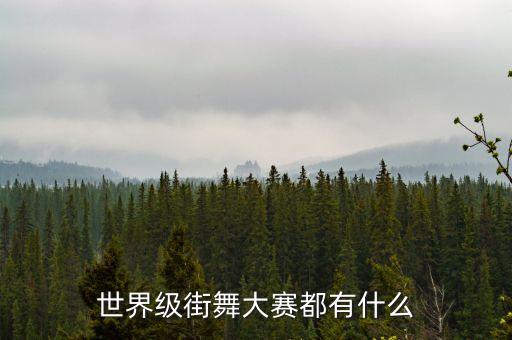 世界级街舞大赛都有什么