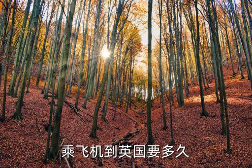 乘飞机到英国要多久