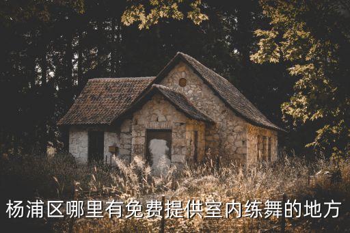 哪里有免费舞蹈室，杨浦区哪里有免费提供室内练舞的地方