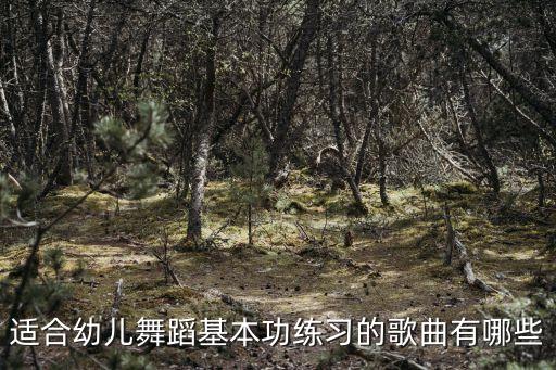 适合幼儿舞蹈基本功练习的歌曲有哪些