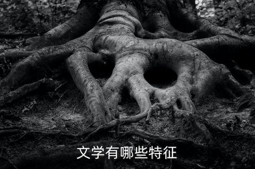 文学有哪些特征