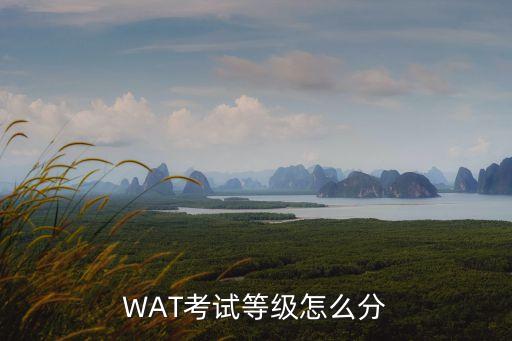 WAT考试等级怎么分