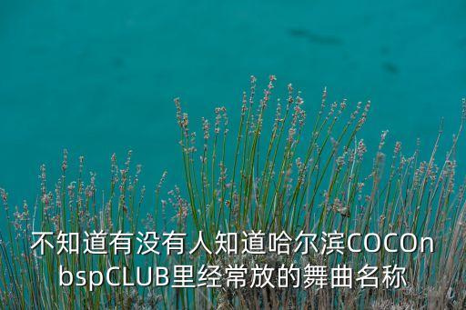 不知道有没有人知道哈尔滨COCOnbspCLUB里经常放的舞曲名称
