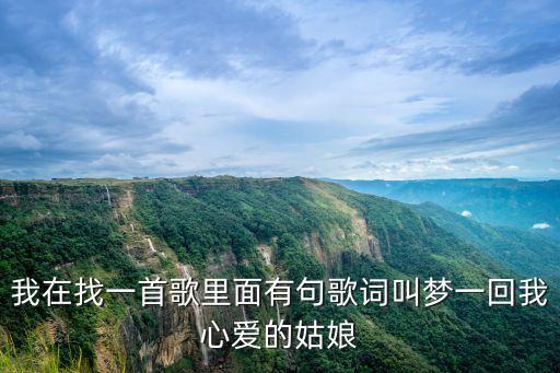 我在找一首歌里面有句歌词叫梦一回我心爱的姑娘