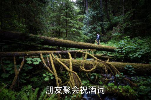 舞友聚会应该怎么说，谁有舞会致辞的发过来 急 急 急