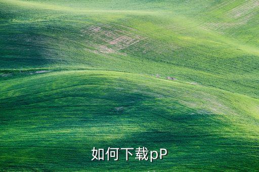 如何下载pP