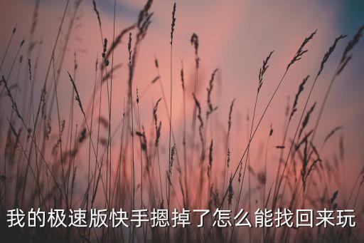 我的极速版快手摁掉了怎么能找回来玩