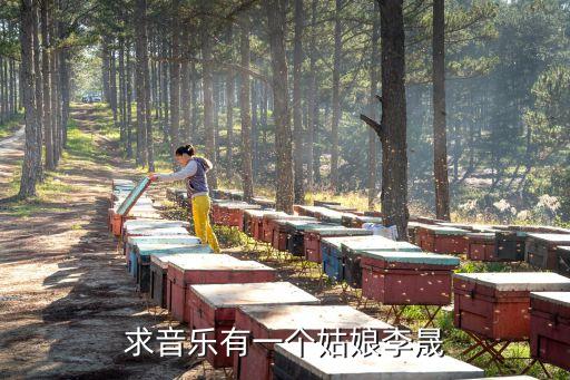 求音乐有一个姑娘李晟