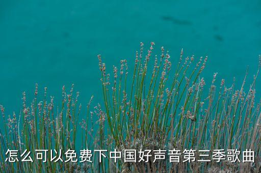 怎么可以免费下中国好声音第三季歌曲