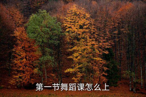 三年级舞蹈基本功教案，第一节舞蹈课怎么上