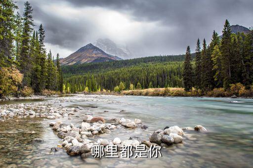 哪里都是你作词，一首男女对唱的 歌词里面有夜色哪里都是你这句 这是哪首歌 大概