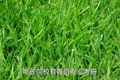 哪些院校有舞蹈专业考研