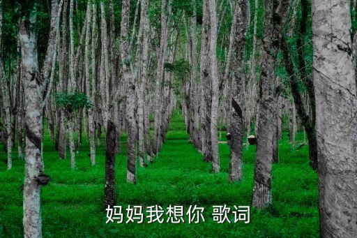 妈妈我想你这首歌怎么不易学唱呢，有一首歌是这么唱的妈妈呀妈妈我想你我想妈妈只是到天国去