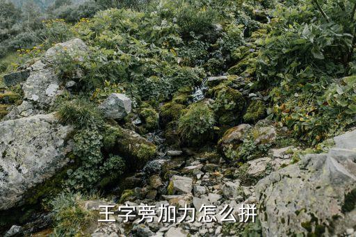 王字旁加力怎么拼