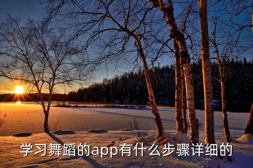 学习舞蹈的app有什么步骤详细的