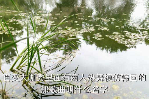 百变大咖秀里面有两人热舞模仿韩国的那歌曲叫什么名字