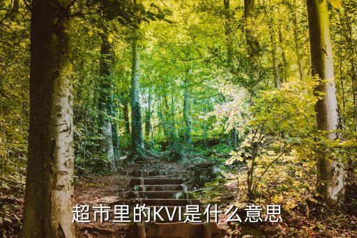 超市里的KVI是什么意思