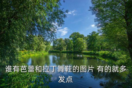 谁有芭蕾和拉丁舞鞋的图片 有的就多发点