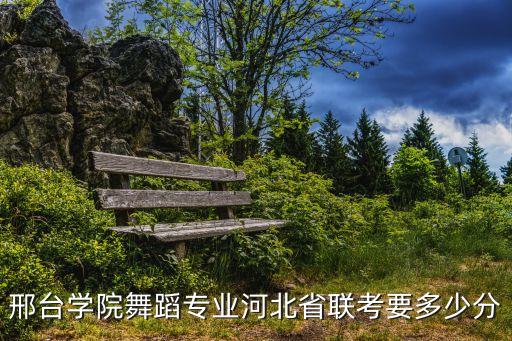 邢台学院舞蹈专业河北省联考要多少分